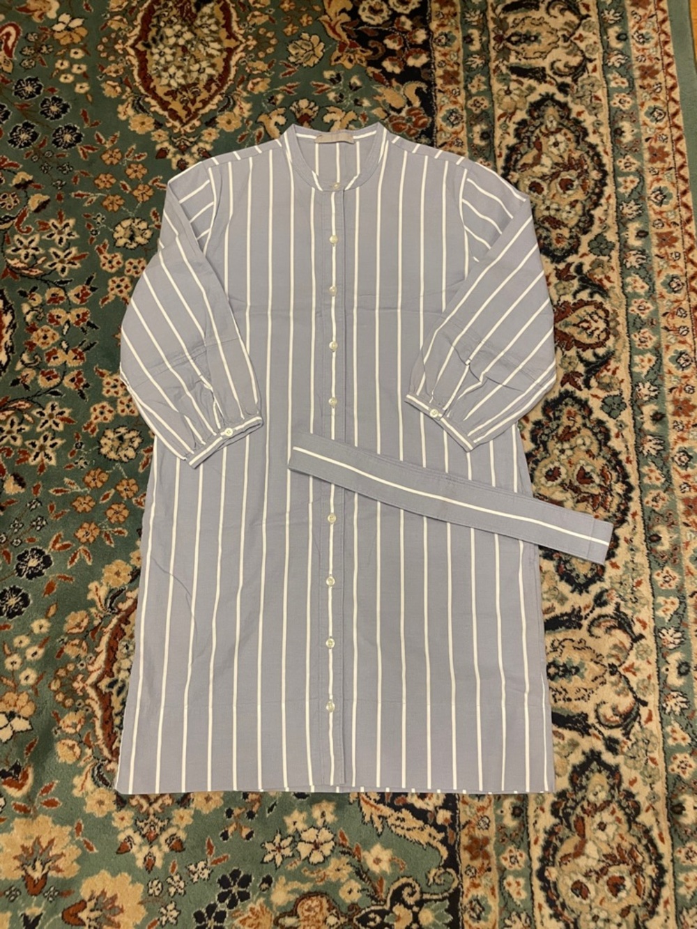 Everlane Blue and White Striped Button-Down Shirt Dress